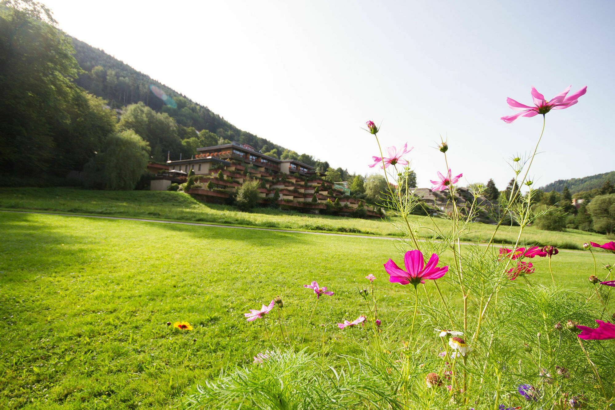 Hotel Valsana Am Kurpark Бад Вилдбад Екстериор снимка